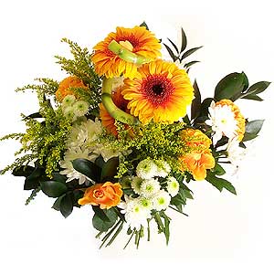 Flowers Directory Cornise