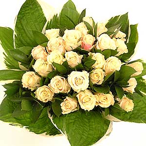 Flowers Directory Cream Rose Posy Handtie