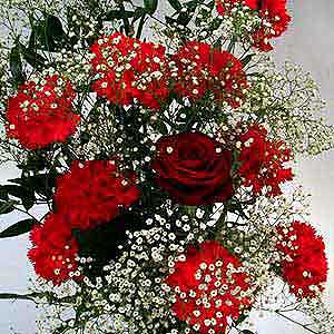 Flowers Directory Dainty Designs - Red Rose and Carnation