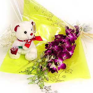 Flowers Directory Dendrobium Orchids and Teddy