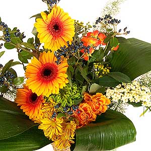 Flowers Directory Harvest Festival