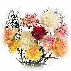 Flowers Directory Heart