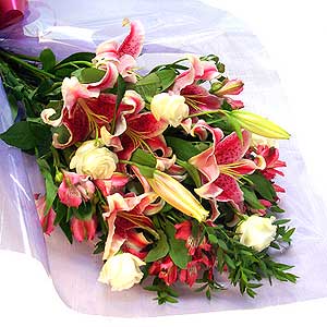 Flowers Directory Julyanne