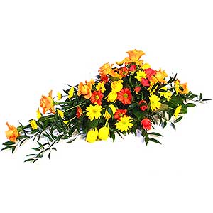 Flowers Directory Oasis Spray