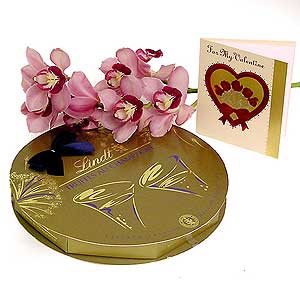 Flowers Directory Orchids and Champagne Truffles