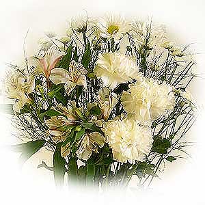 Flowers Directory Peace