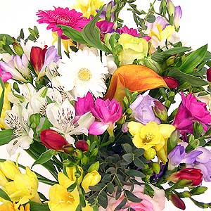 Flowers Directory Scented Selection