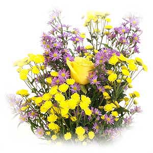 Flowers Directory Seasonal