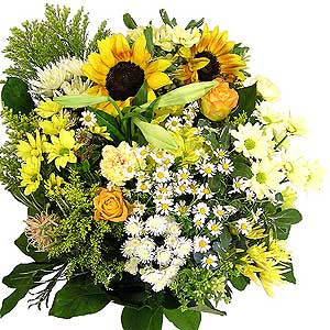 Flowers Directory Summer Daze