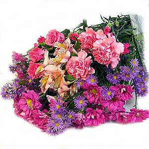 Flowers Directory Tranquillity