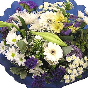 Flowers Directory White and Blue Handtie