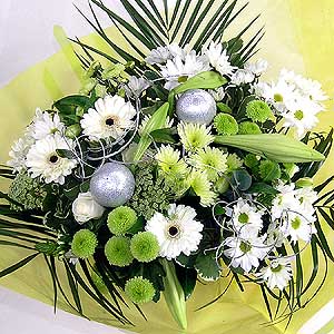 Flowers Directory Winter Wonderland