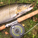 Fly Fishing for One with Overnight Stay