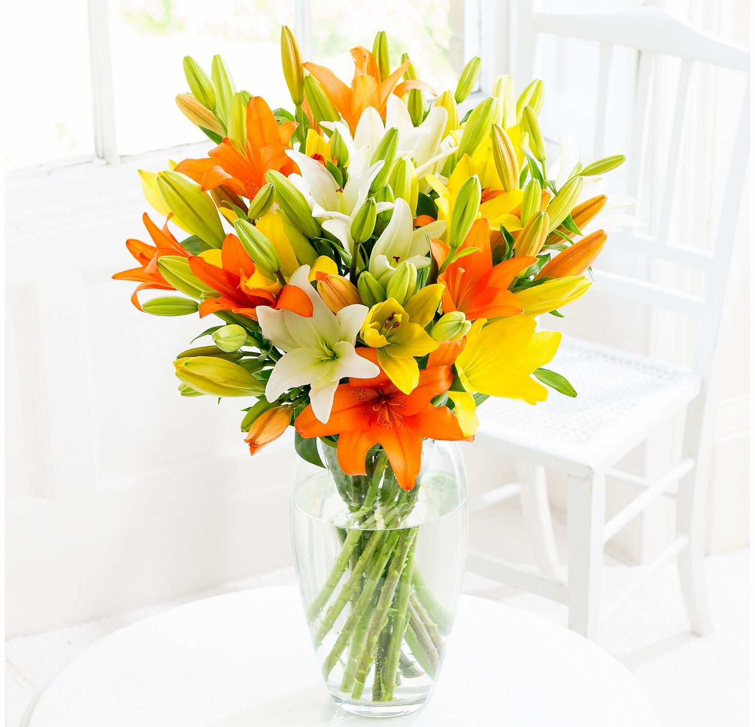 Flying Flowers 50 Lily Blooms review, compare prices, buy online
