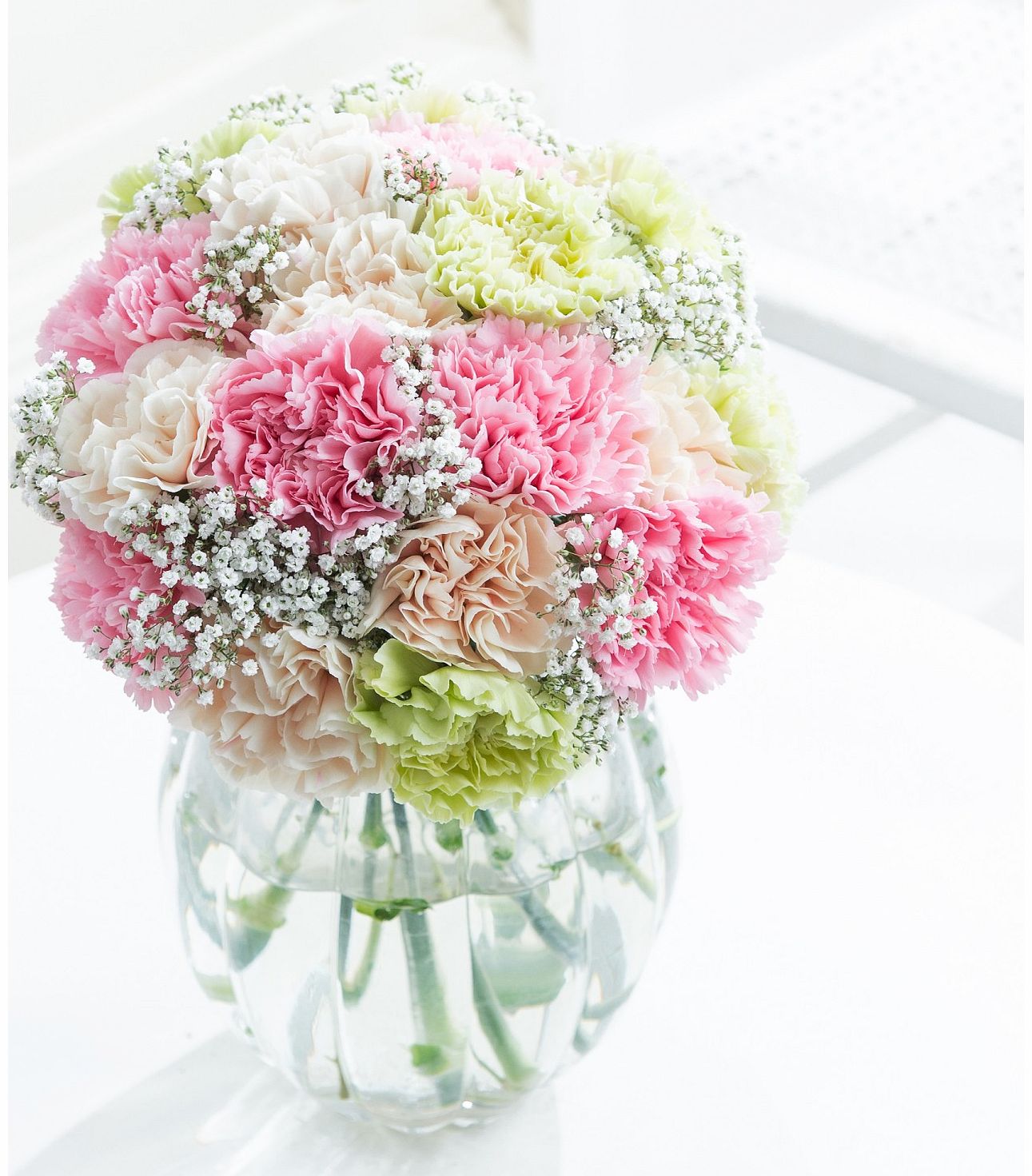 carnation flowers and flower delivery