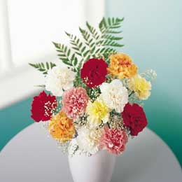 Flying Flowers Carnation Classic and B/Fly Choc