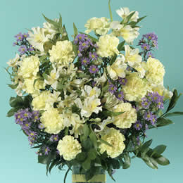 Flying Flowers Cloud Nine Extra