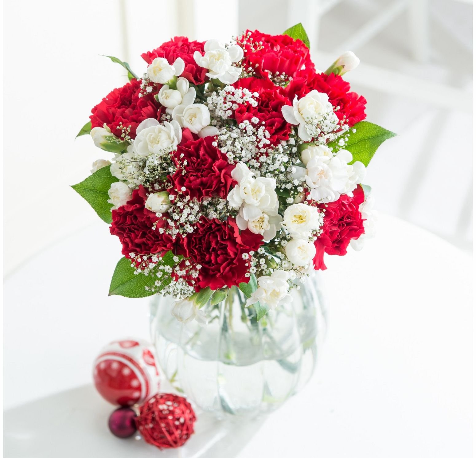 Festive Carnation Joy