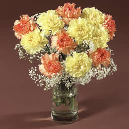 Flying Flowers Oranges and Lemons and B/Fly Choc