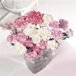 Flying Flowers Pink Sorbet