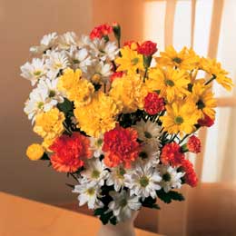 Flying Flowers Sunshine Rays and B/Fly Choc