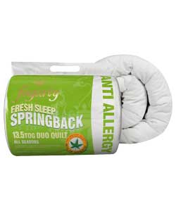 Fogarty Anti-Allergy 13.5 Tog 3 in 1 Duvet -