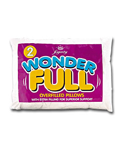 Fogarty Pair of Wonderfull Pillows