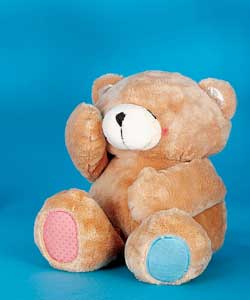 Baby Peek-a Boo Bear