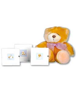 Prints and Bear Gift Set
