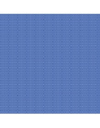 Blue Solid 2 Ply Oxford Cotton