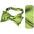 Forzieri Light Green Solid Silk Self-tie Bowtie