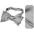 Forzieri Silver Solid Silk Self-tie Bowtie