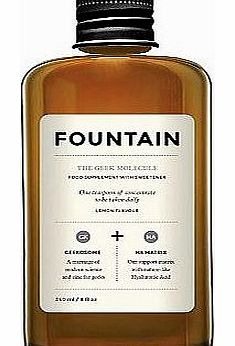 Fountain / THE GEEK MOLECULE / 240ML / 8 FL oz