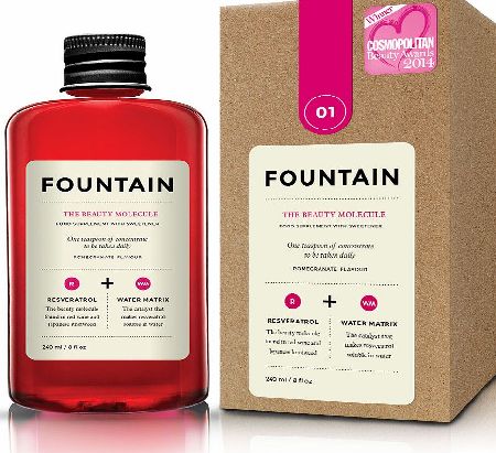 Fountain The Beauty Molecule 240ml