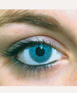 Foureyez Cosmetic Fashion Lenses - Grey