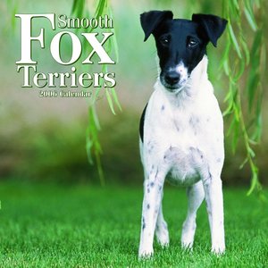 Fox Terrier - Smooth Calendar