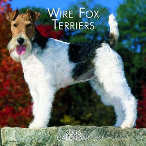 Fox Terrier - Wire Calendar