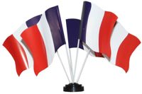 Paper Flag 150mm x 100mm (PK 6)