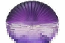 Franck Olivier Private Eau de Parfum Spray 25ml