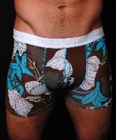 Frank Dandy Gallichi (Brown)