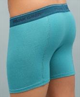 Frank Dandy Legend (C Blue)