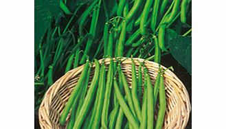 French Bean Seeds - Continuity Duo Pack