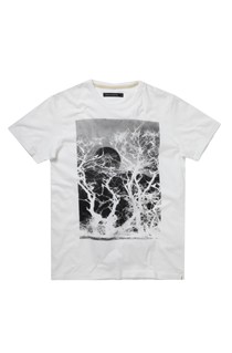 French Connection Haunted Forest Marlon T-Shirt