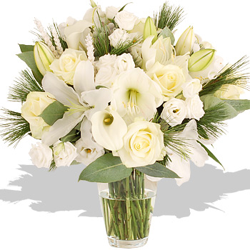 FROZEN Winter - flowers