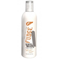 Fudge Conditioners - 300ml Colour Lock Conditioner