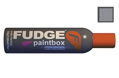 Fudge paintbox spray silver glitter 125g