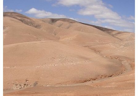 Fuerteventura Dunes Cruise