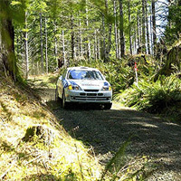 Full Day Forest Rally Driving - Various Locations