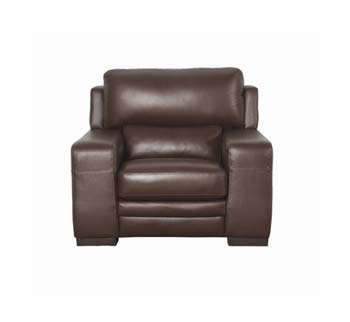 Furniture Link Bailey Leather Armchair - WHILE STOCKS LAST!