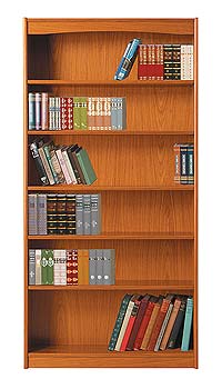 Furniture123 Clarence Tall Bookcase